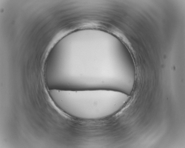 X0000070851429200606160931