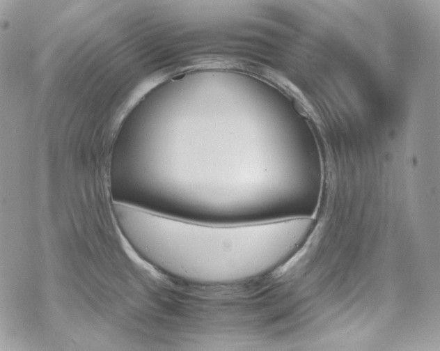 X0000070851433200606160931