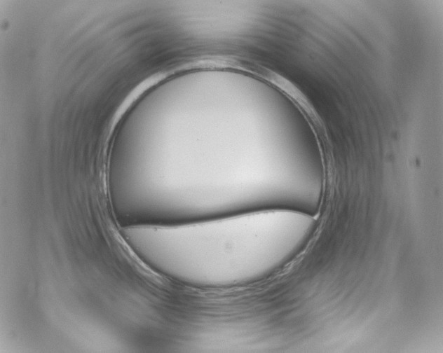 X0000070851436200606160931