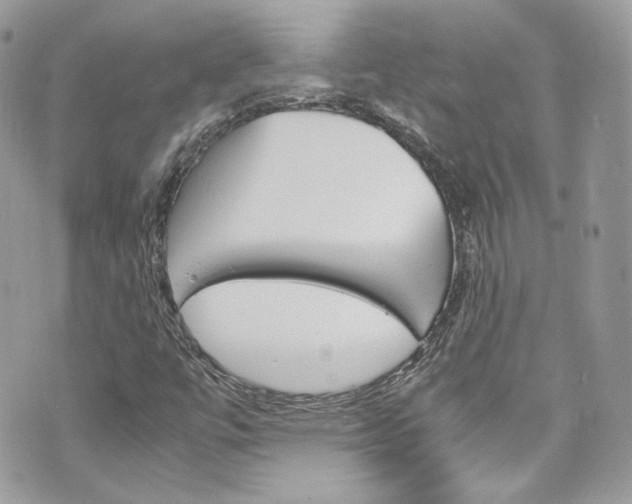 X0000070851447200606160930