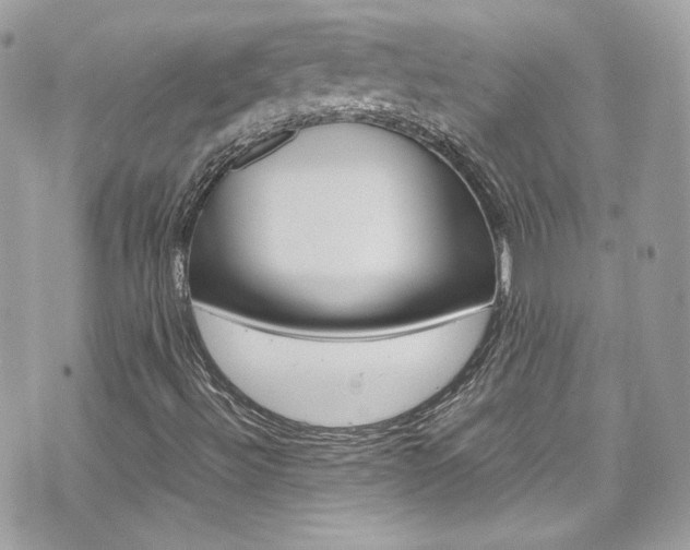 X0000070851492200606160928