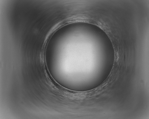X0000070850004200606161147