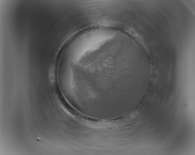 X0000070850012200606161147
