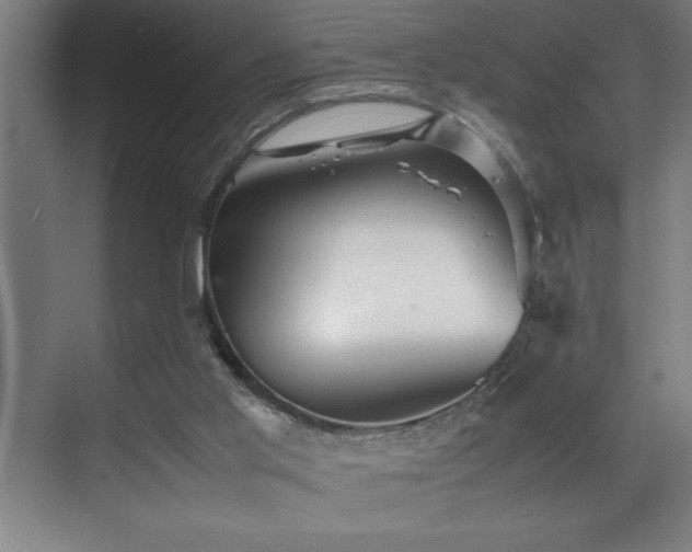 X0000070850013200606161147