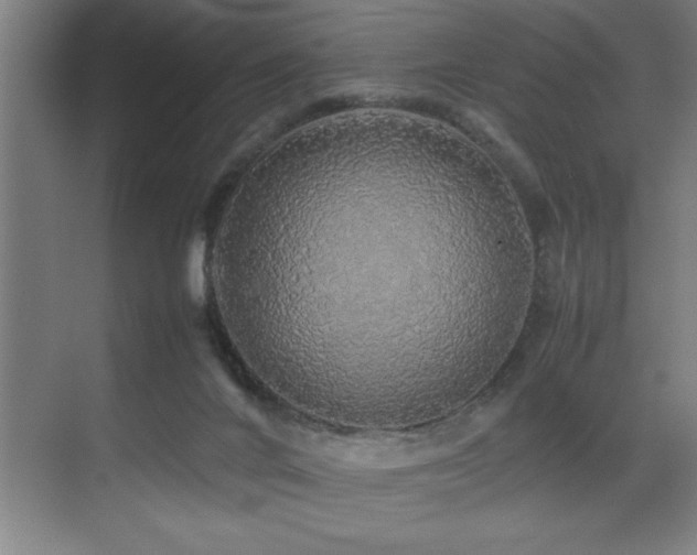 X0000070850024200606161147