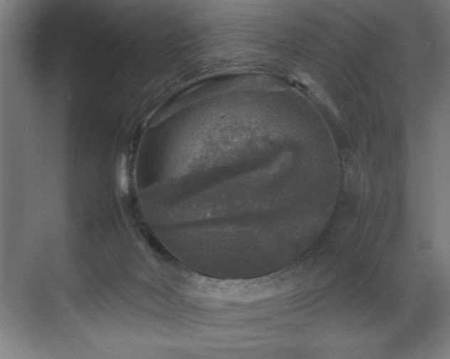 X0000070850026200606161147