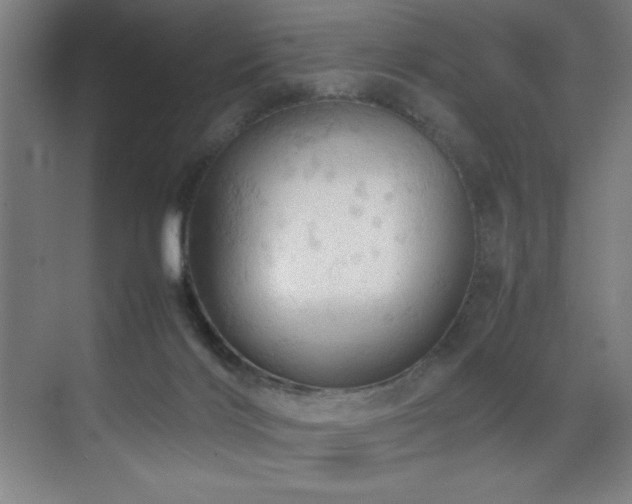 X0000070850028200606161147