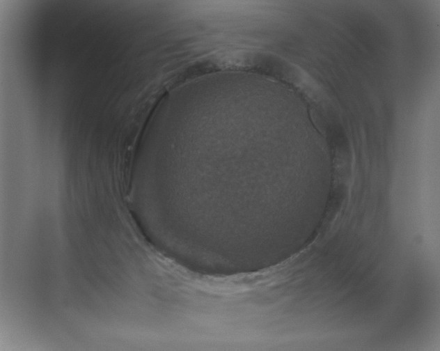 X0000070850029200606161147