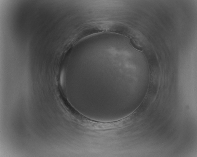 X0000070850031200606161146
