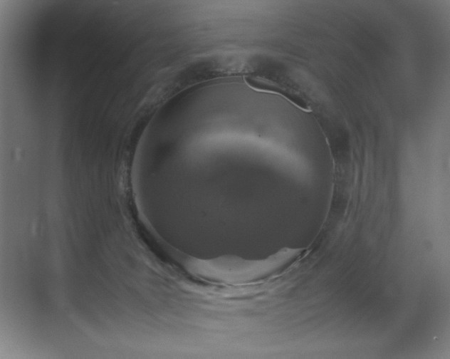 X0000070850035200606161146