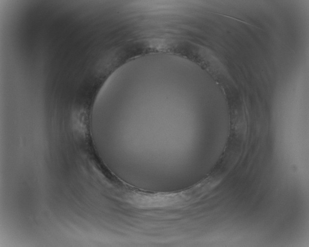 X0000070850036200606161146