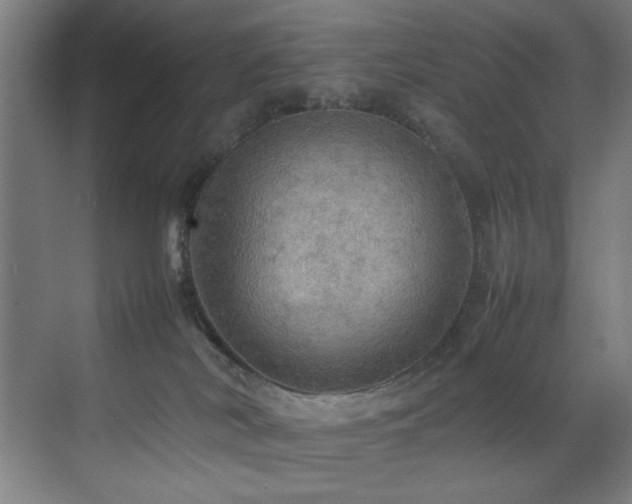 X0000070850038200606161146