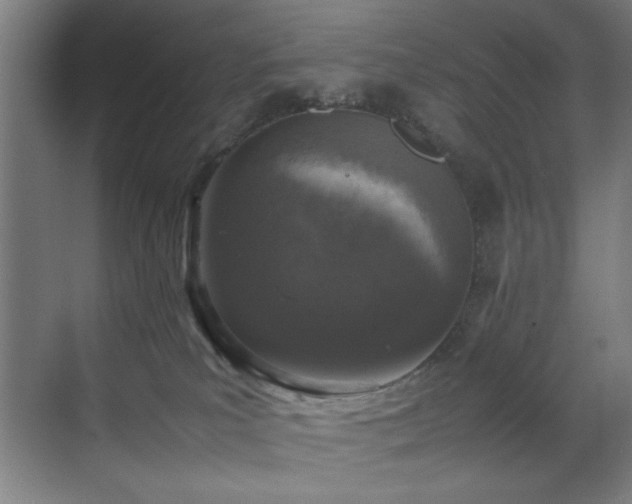 X0000070850039200606161146