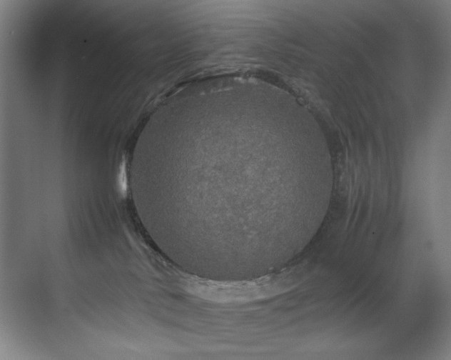 X0000070850042200606161146