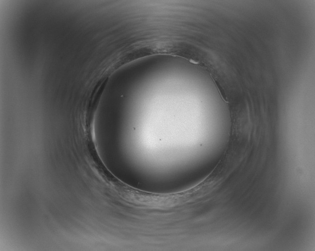 X0000070850044200606161146