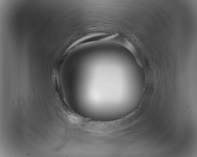 X0000070850045200606161146