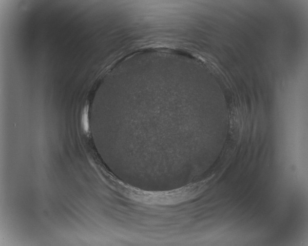 X0000070850046200606161146