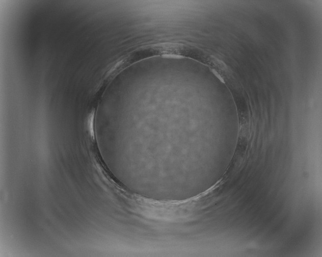 X0000070850047200606161146