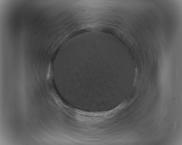X0000070850048200606161146
