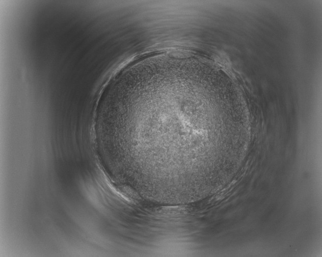 X0000070850050200606161145