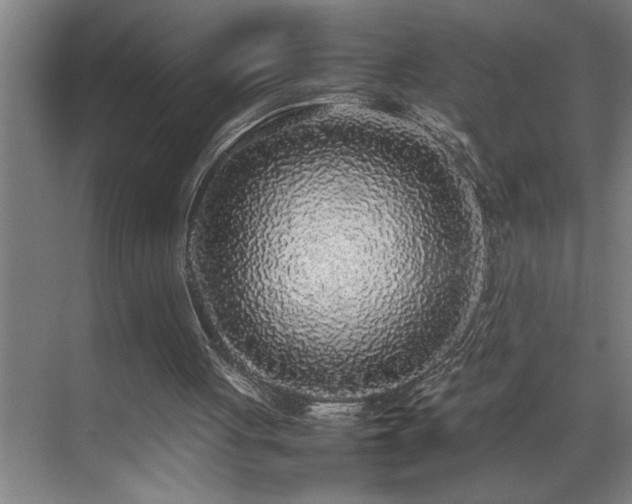 X0000070850051200606161145