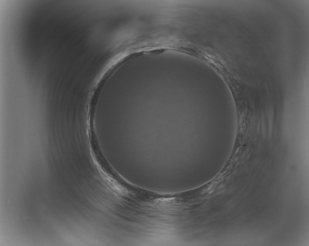 X0000070850054200606161145