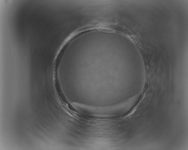X0000070850056200606161145