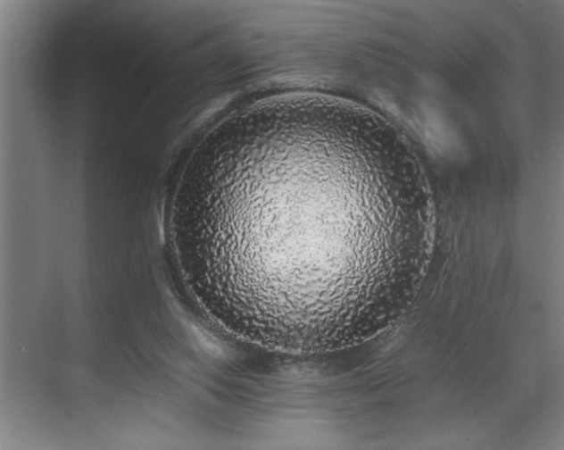 X0000070850062200606161146