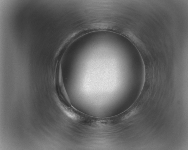 X0000070850064200606161146