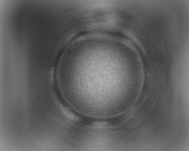X0000070850066200606161146