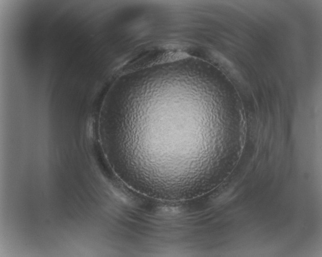 X0000070850071200606161146