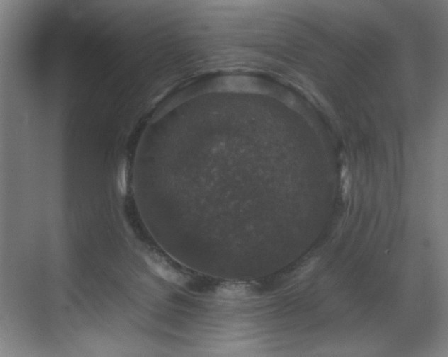X0000070850076200606161146