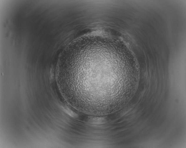 X0000070850081200606161146