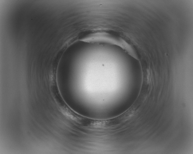 X0000070850084200606161146
