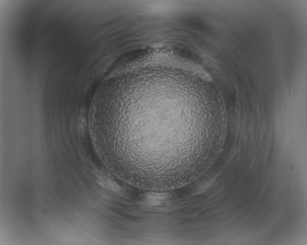 X0000070850085200606161146
