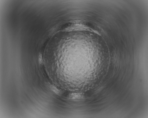X0000070850089200606161146