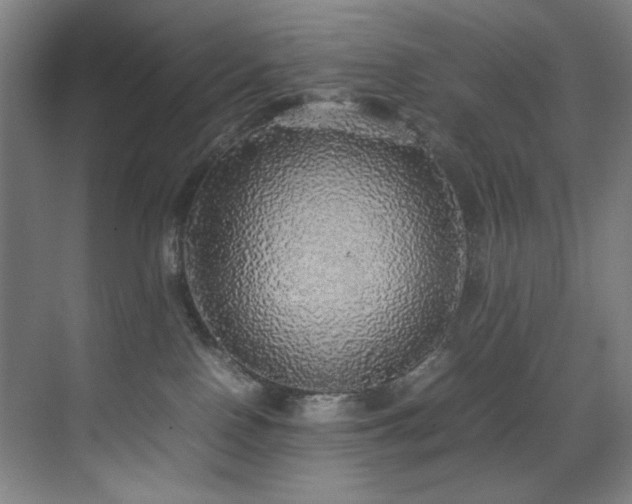X0000070850090200606161146
