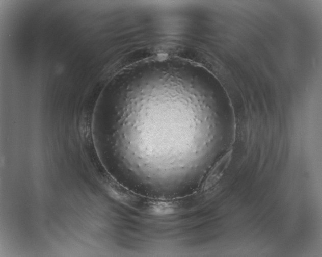 X0000070850091200606161146