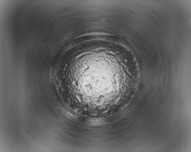 X0000070850093200606161146