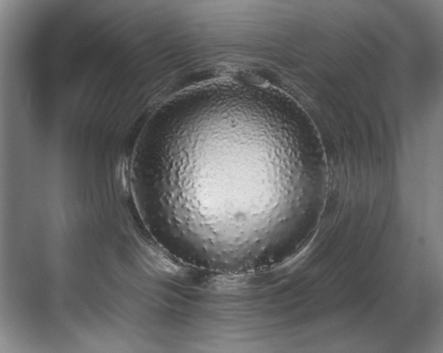X0000070850094200606161146