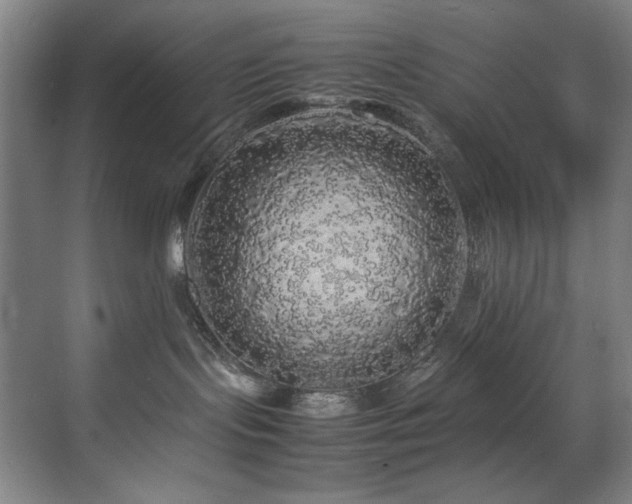 X0000070850095200606161146