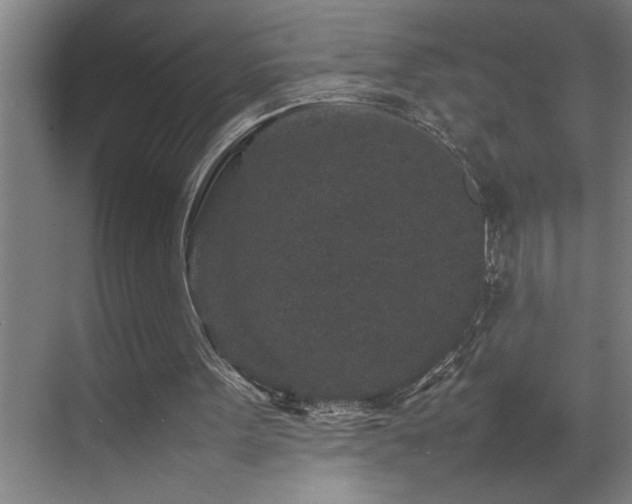 X0000070850099200606161145