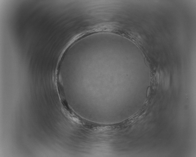 X0000070850100200606161145