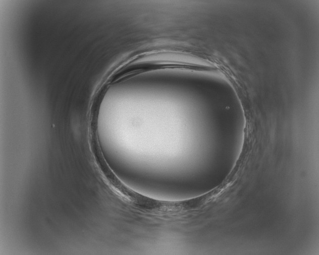 X0000070850101200606161145