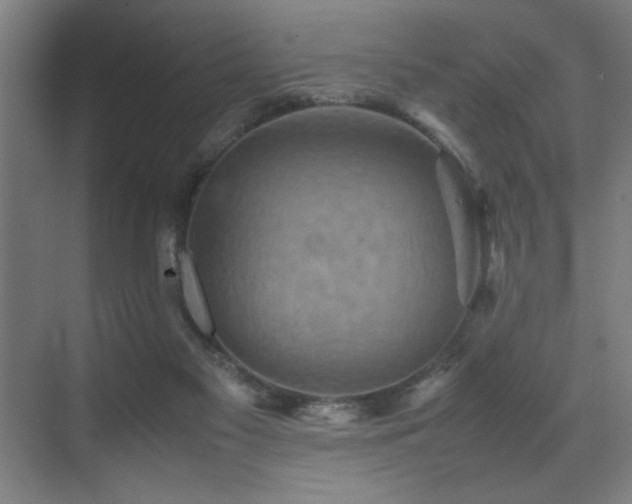 X0000070850117200606161145