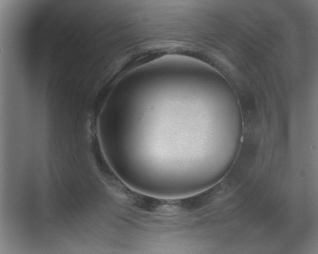 X0000070850119200606161145
