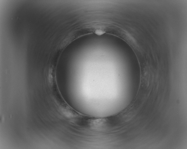 X0000070850122200606161145