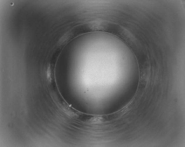 X0000070850124200606161145