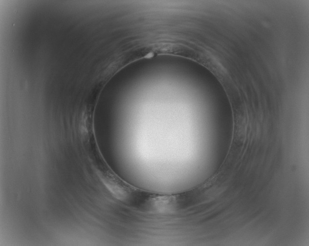 X0000070850126200606161145