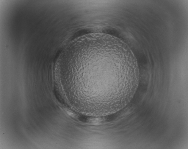 X0000070850131200606161145